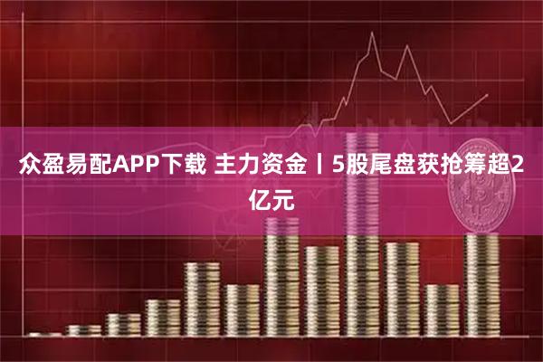 众盈易配APP下载 主力资金丨5股尾盘获抢筹超2亿元